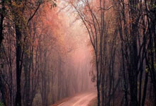 霍芬海姆客场失分，潜在危机