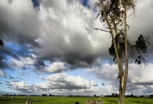 皇马比力克毕尔巴鄂，追赶巴萨积分