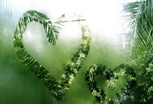 RB莱比锡赢球后稳居积分榜前列，盼望夺冠