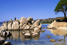 尤文图斯主场逆转热那亚，豪取四连胜